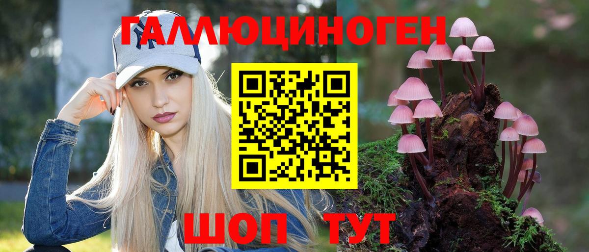 Галлюциногенные грибы прущие грибы  Галлюциногенные грибы Cubensis  Вход с VPN  купить наркоту  Курчалой 